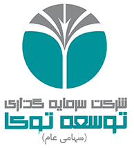 شرکت توسعه معدنی و سرمایه گذاری توکافولاد